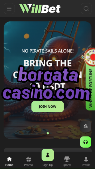 borgata casino.com-asdasdzhjkds.com