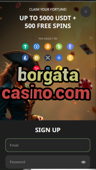 borgata casino.com-asdasdzhjkds.com